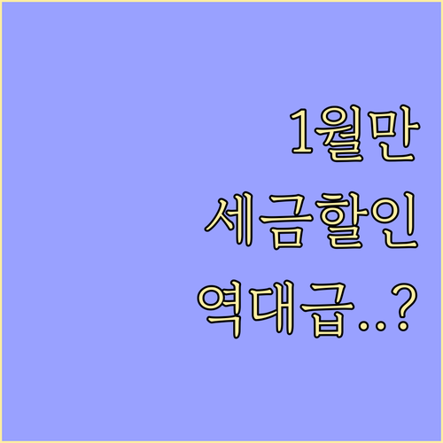 1월 자동차세 연납 신청으로 세금 아..