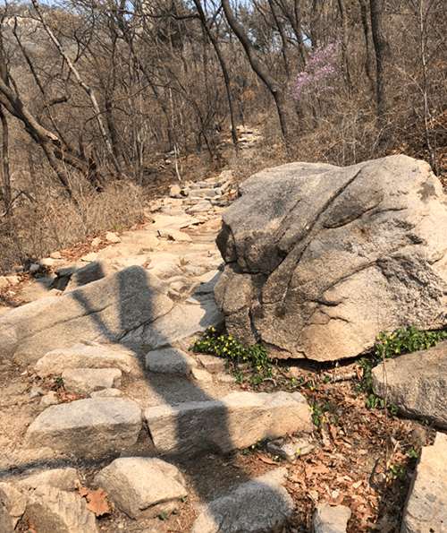 보국문10