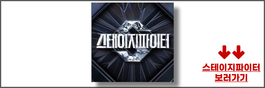 스테이지 파이터 공연