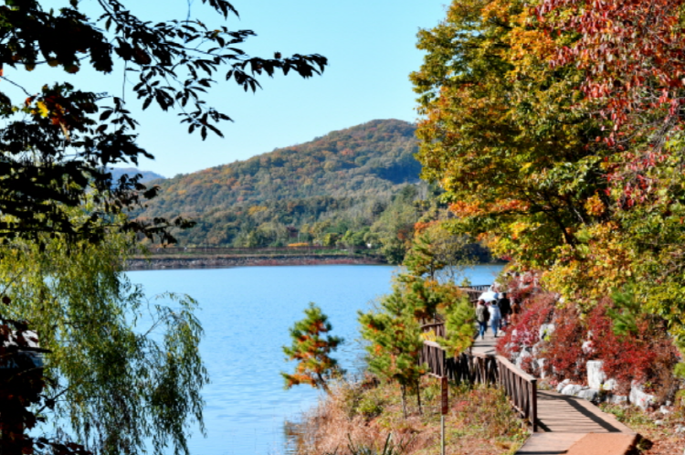 마장호수 출렁다리
