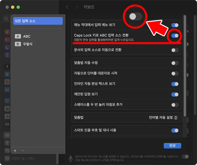 모든 입력 소스 우측 패널에서 "Caps lock 키로 ABC 입력소스 전환" 항목의 토글 스위치를 비활성화 시켜주면 된다.