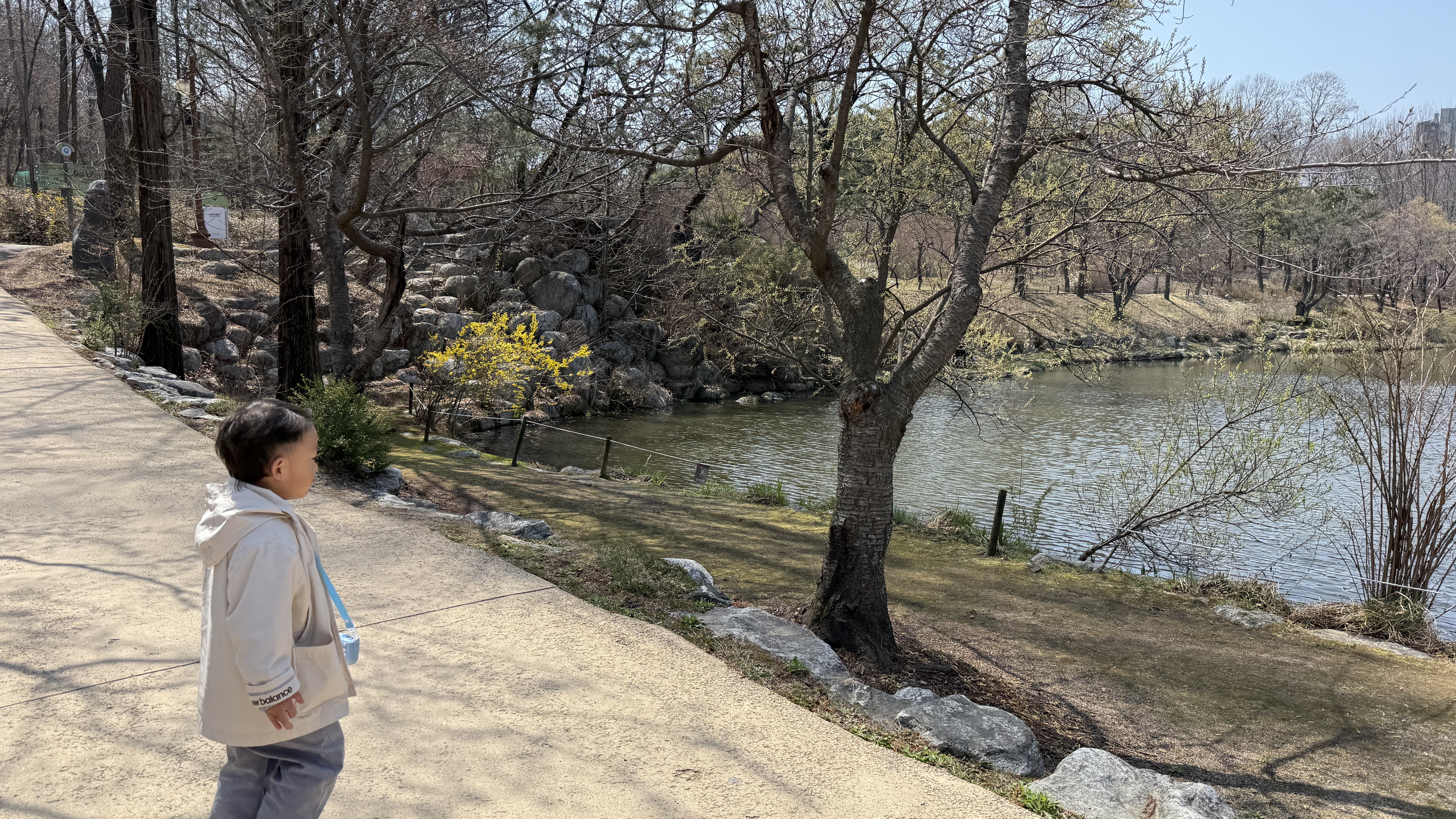 물향기수목원 호수