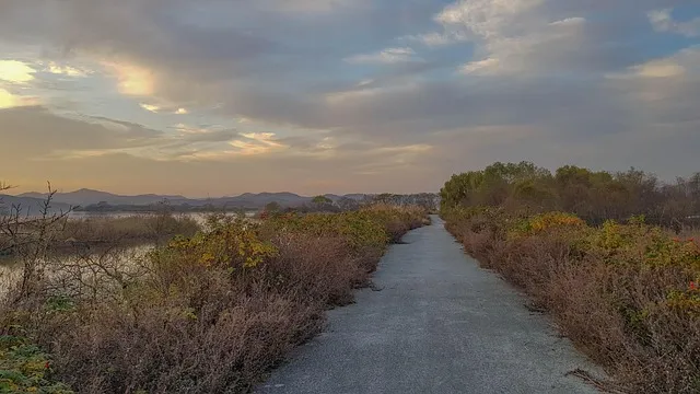 익산 가볼만한곳 베스트10 현지인 추천 필수코스_7