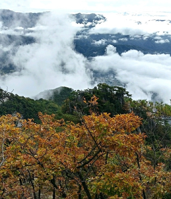 포천 운악산 구름길