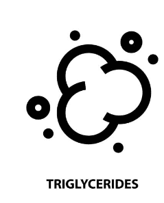 중성지방 낮추는 방법, 중성지방 정상수치