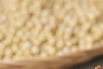 장 건강에 좋은 유산균