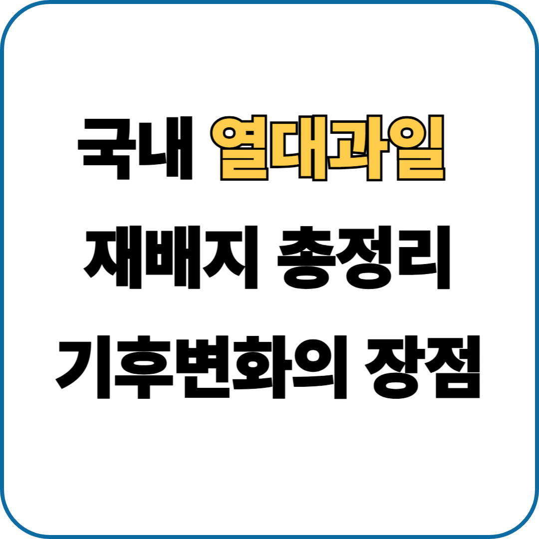 국내 열대과일 재배지 총정리 기후변화의 장점