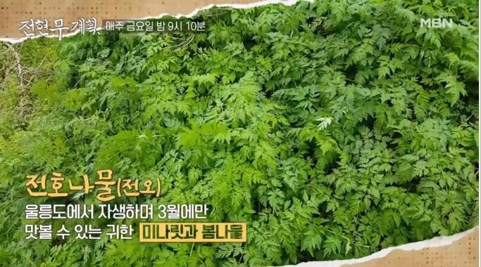 전호나물