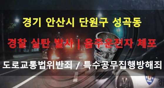 경기 안산시 단원구 성곡동 음주운전 - 경찰 실탄 발사 체포 사례