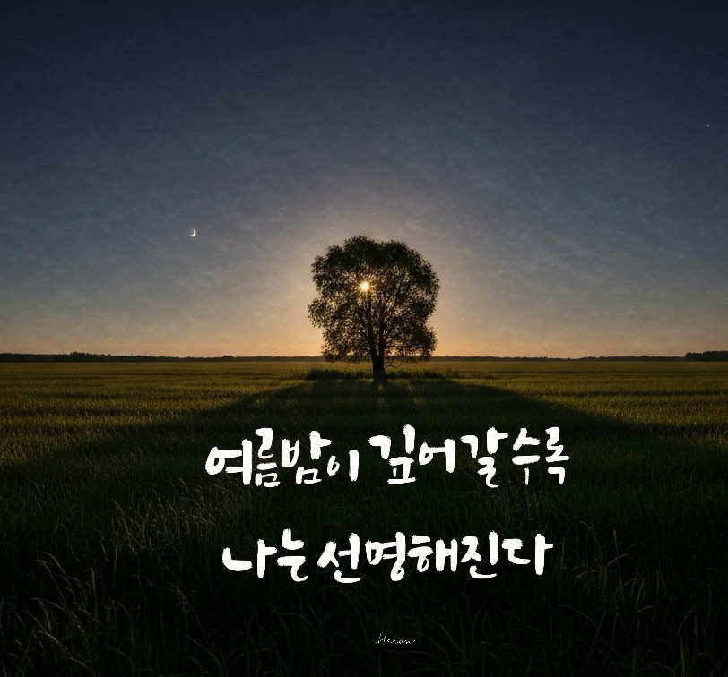 8월 감성 캘리그라피 글귀 모음(30개) - 여름의 끝자락에서 마음을 적시는 문장들