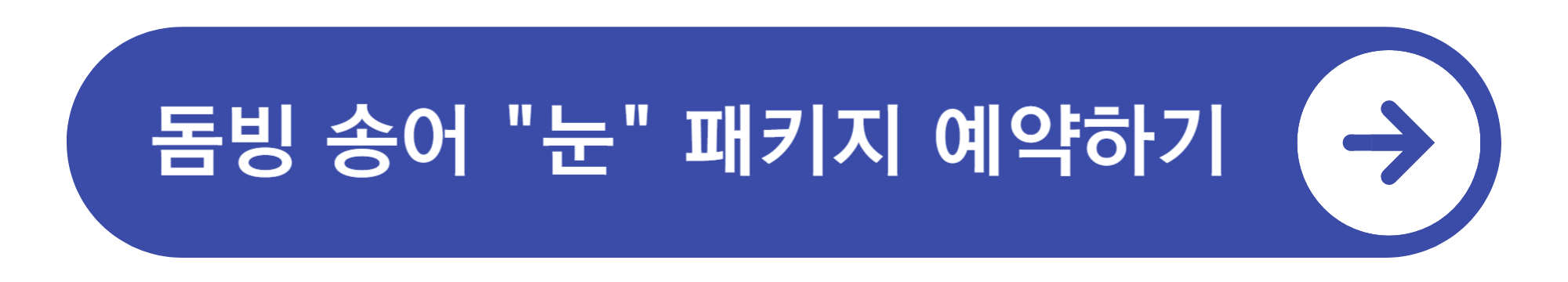 돔빙송어 눈패키지 예약