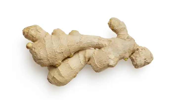 생강청 만드는법