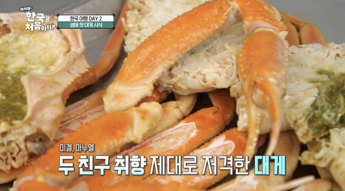 어서와한국은처음이지대게사진