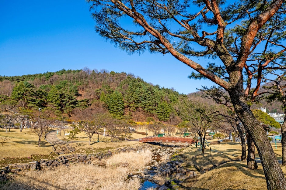 김천 가볼만한곳 베스트10