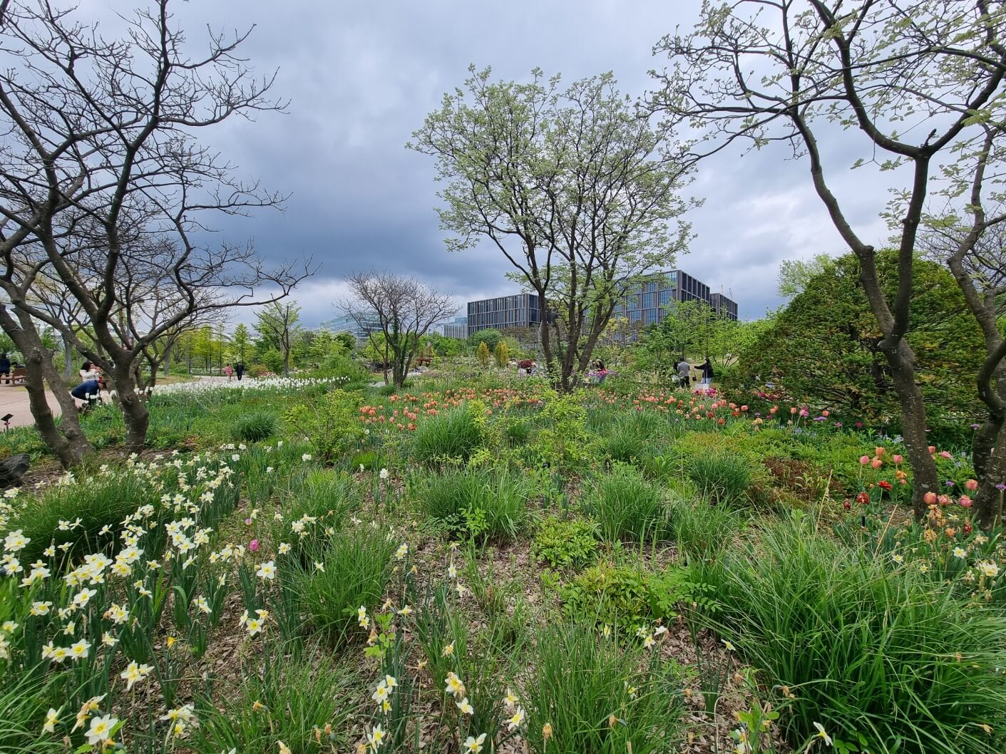 보라매공원 2025 서울 국제정원박람회 일정 가는 길