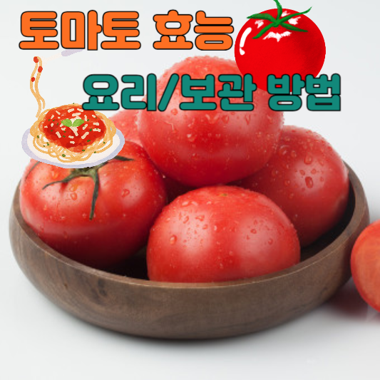 토마토 효능 요리 보관방법