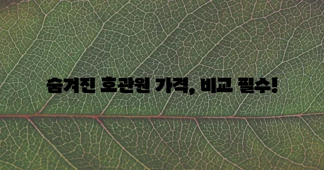 호관원 가격, 꼼꼼히 알아봐야죠!