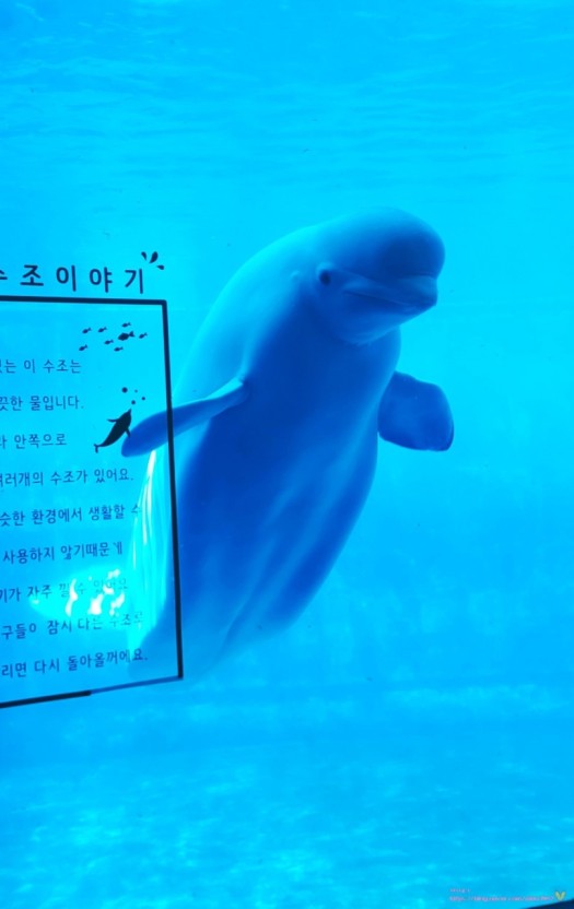 통영&거제 가볼만한 곳 베스트 10곳