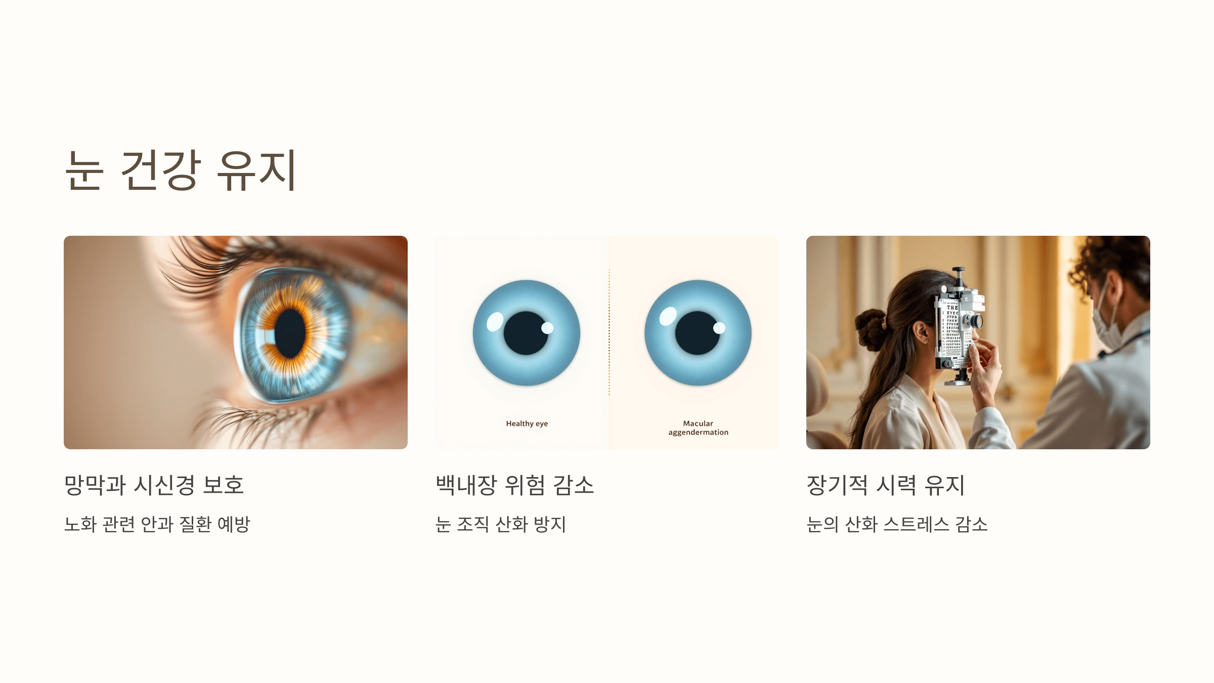 비타민C와 관련된 사진입니다.