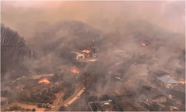 경북-안동-산불피해