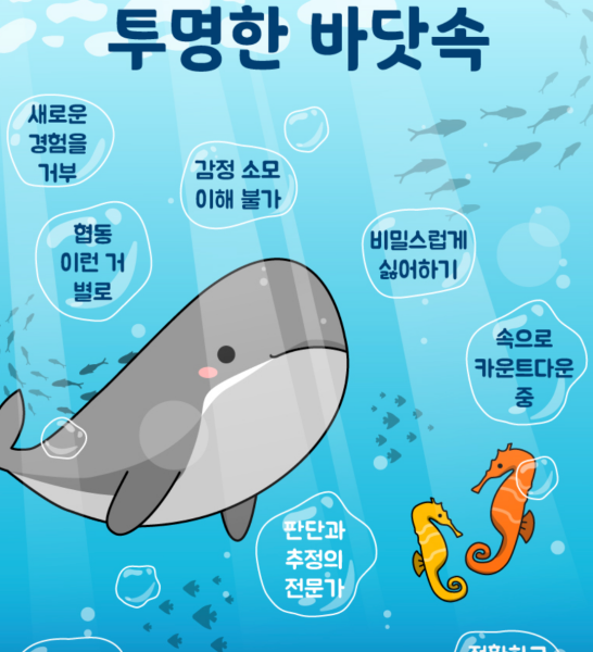 투명한-바닷속-결과