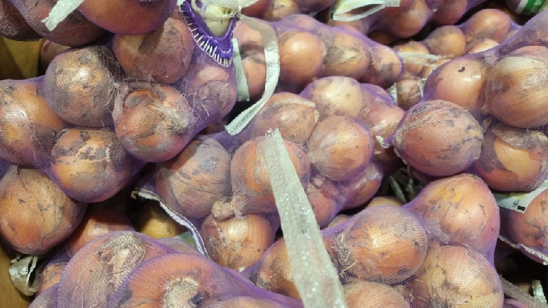 양파보관법-신문지