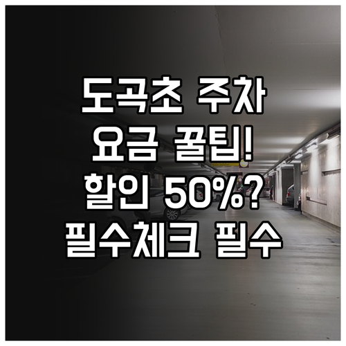 매봉역 도곡초 공영주차장 요금 및 위..