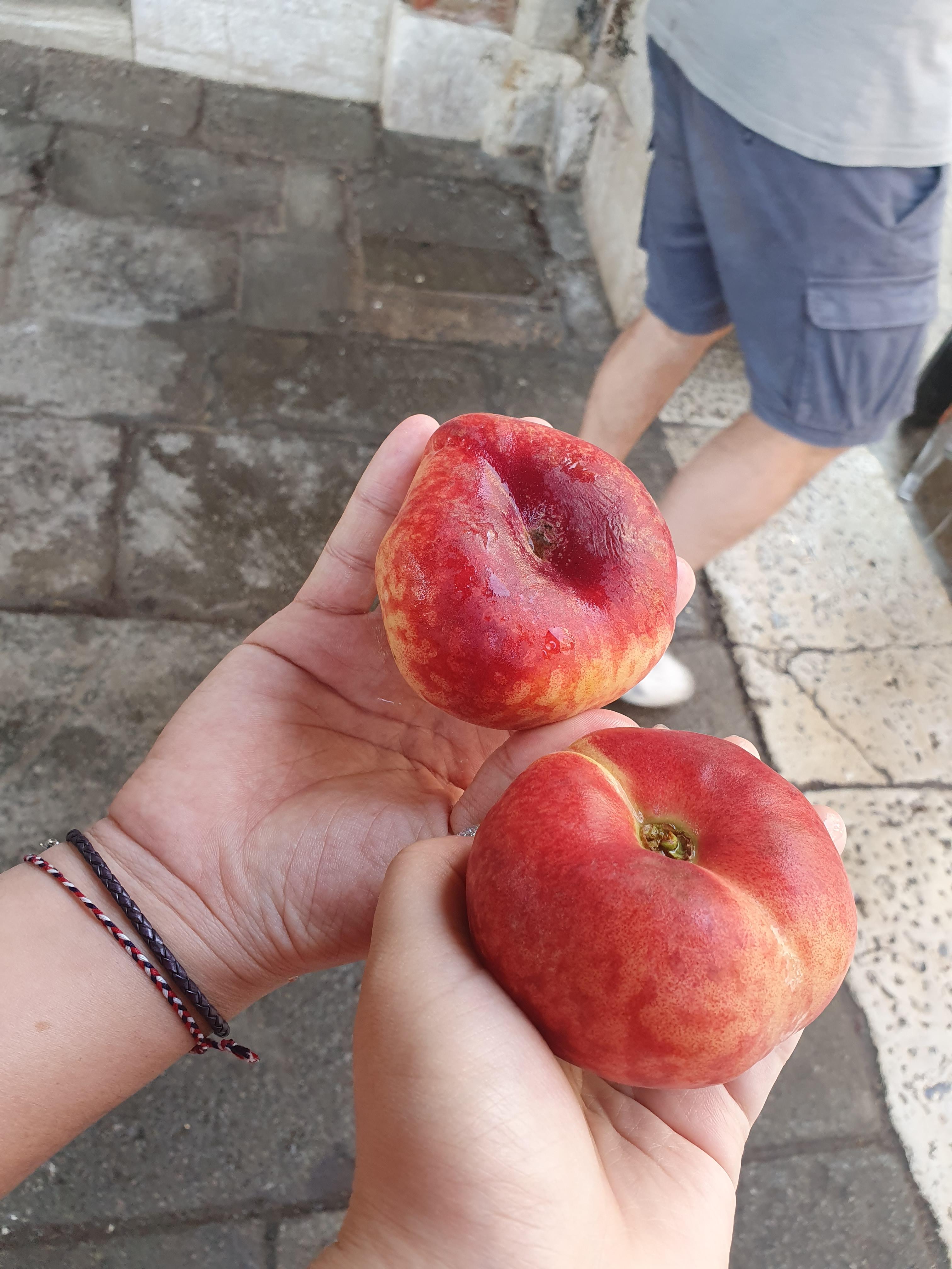 납작복숭아먹는법
납작복숭아구매
한국납작복숭아
유럽납작복숭아