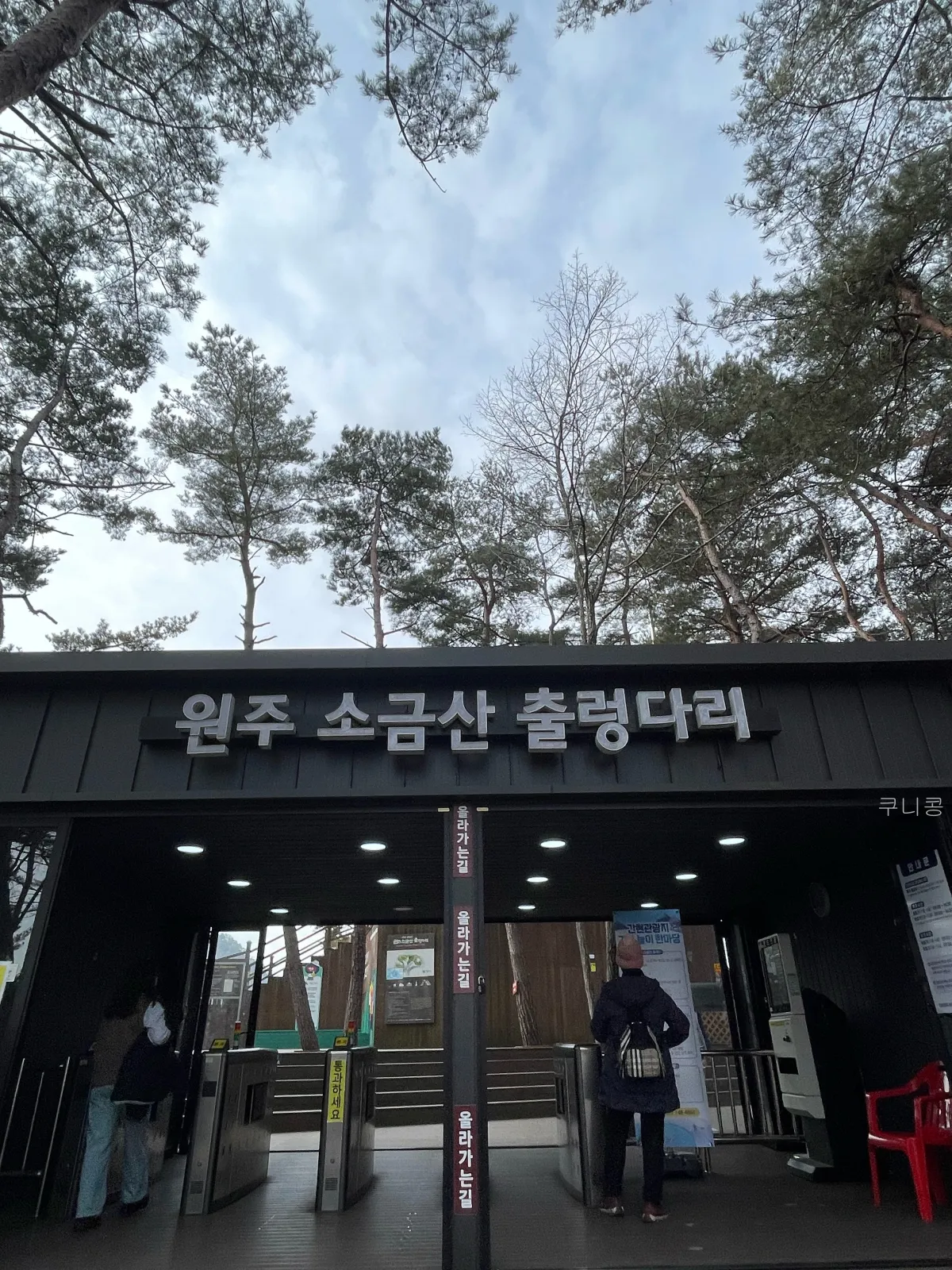 강원도-원주여행-소금산-출렁다리-주말-방문후기-산책로-소요시간,-또-가고싶은-이유