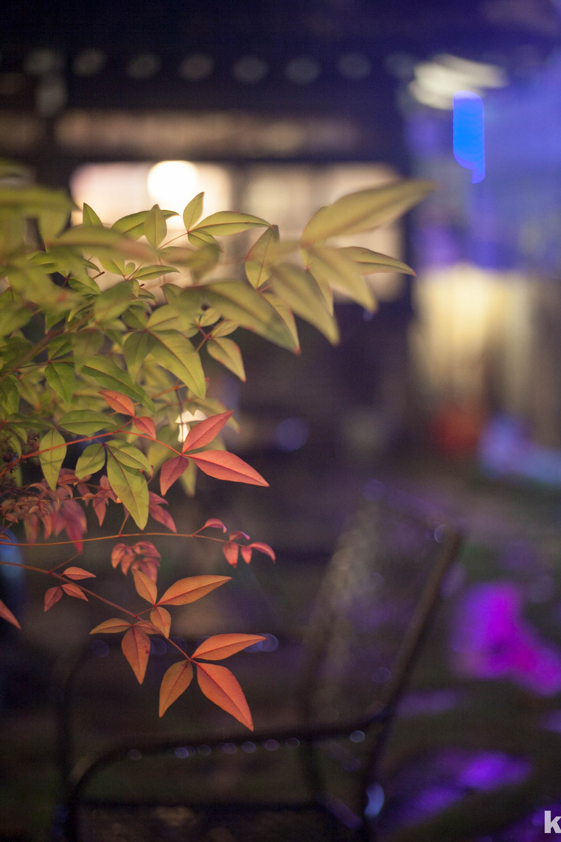 카메라 UV 필터 왜 필요할까?