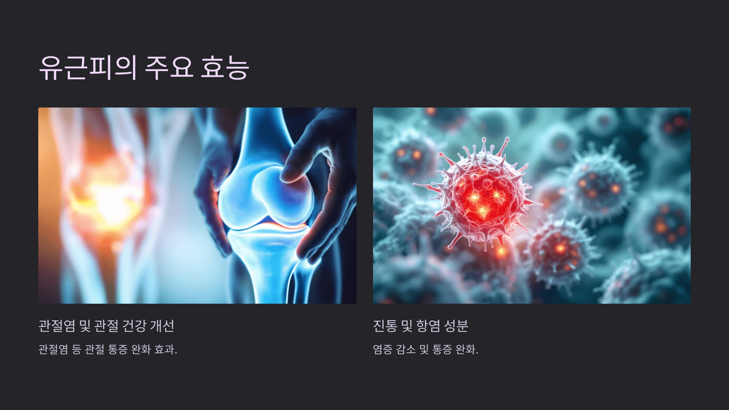 유근피 사진입니다.