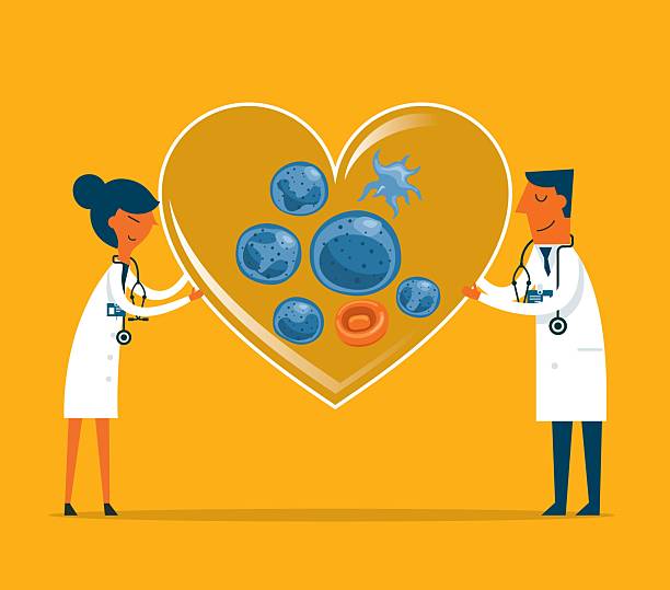 혈액순환에 좋은 영양제 BEST5!!