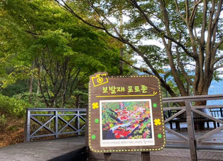 단양 가볼만한곳