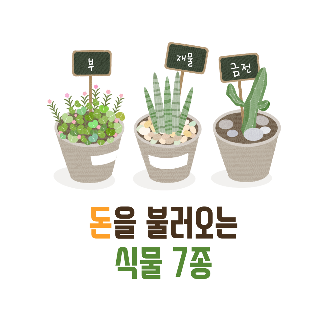 집에 부와 재물 운을 불러오는 식물 7종류