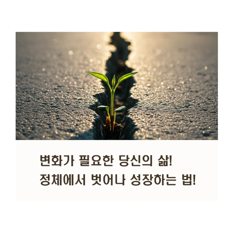 변화가 필요한 당신의 삶: 정체에서 벗어나 성장하는 법