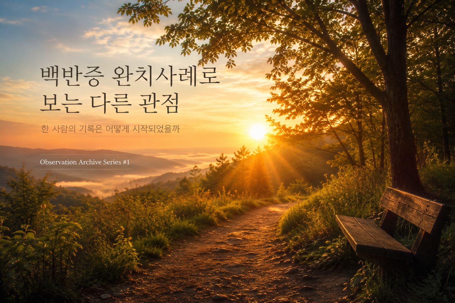 일출이 비추는 숲길과 벤치가 있는 풍경으로, 12년 장기 관찰의 시작과 희망의 여정을 상징하는 Observation Archive Series