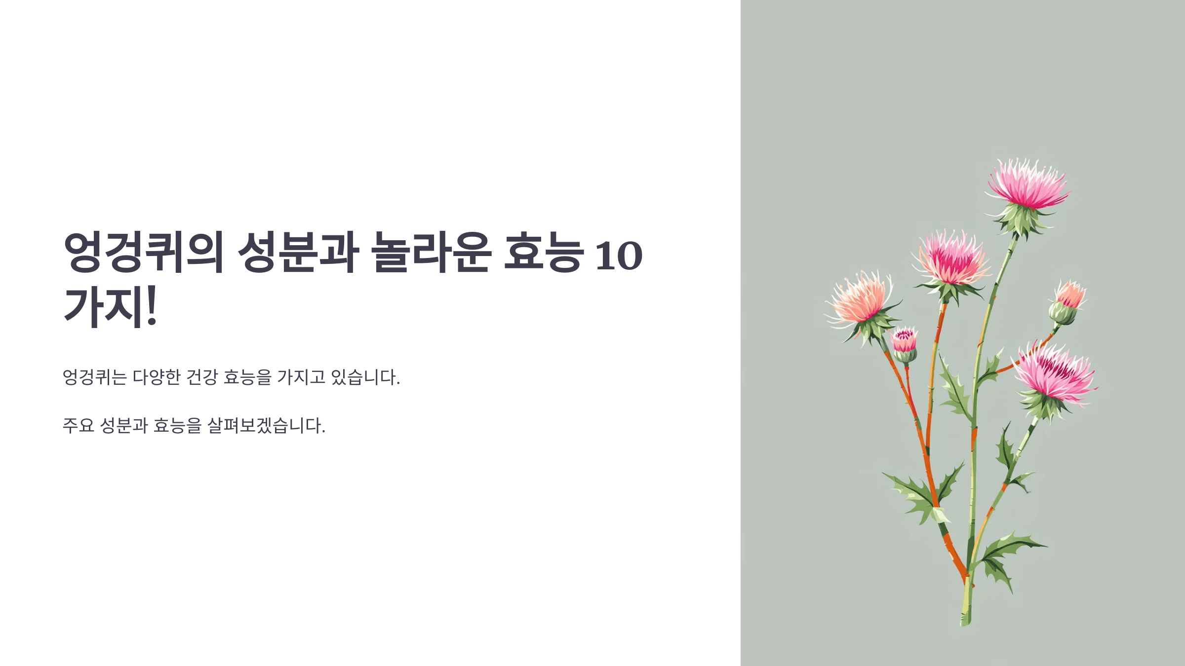 엉겅퀴와 관련된 사진입니다.