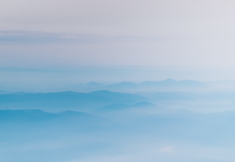 대전