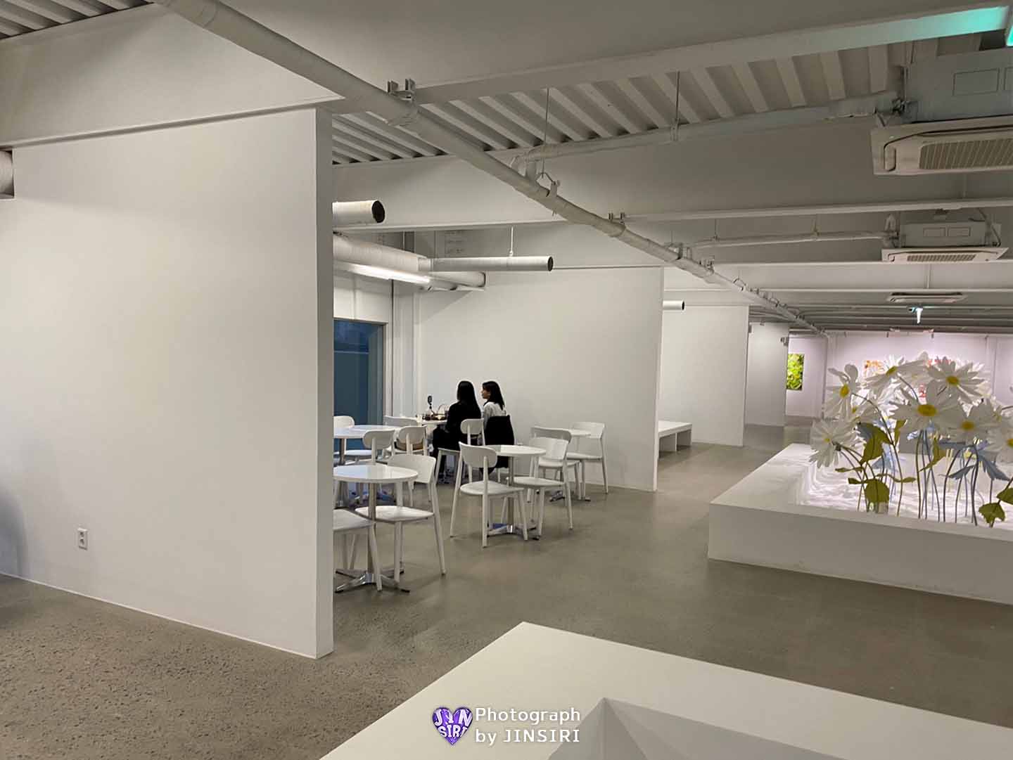 ๊นํฌ ๊ตฌ๋๋ ๋ฐ์ดํธ