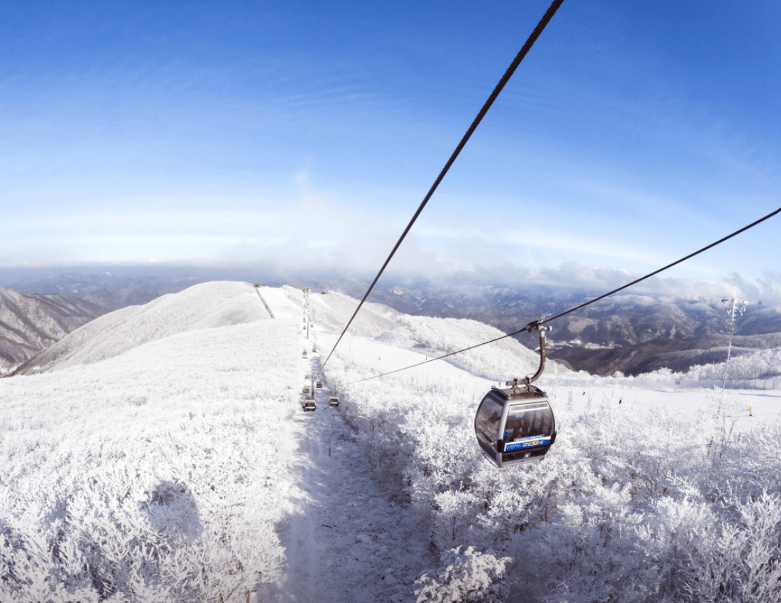 하이원-리조트-스키장