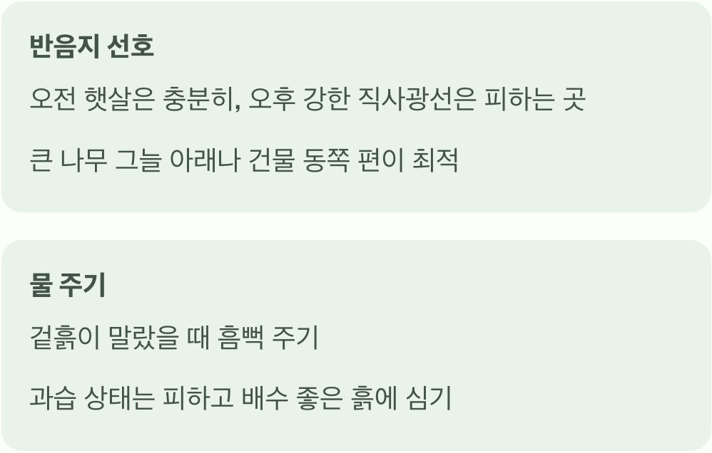 햇빛과 물, 이것만 기억하세요