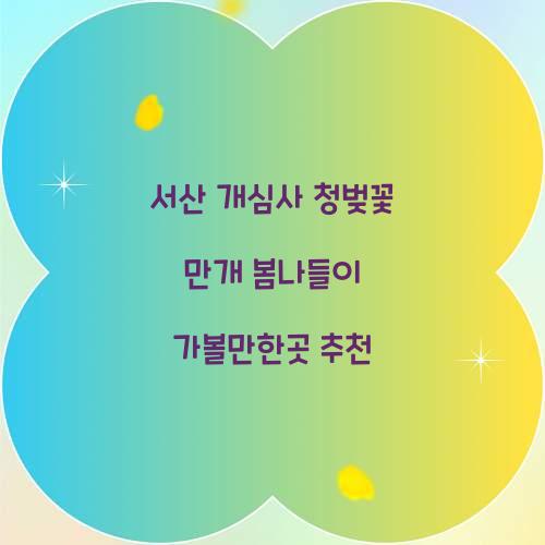 서산 개심사 청벚꽃