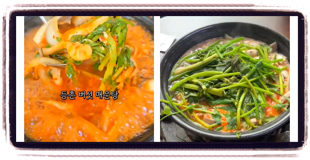 전현무계획2 버섯매운탕