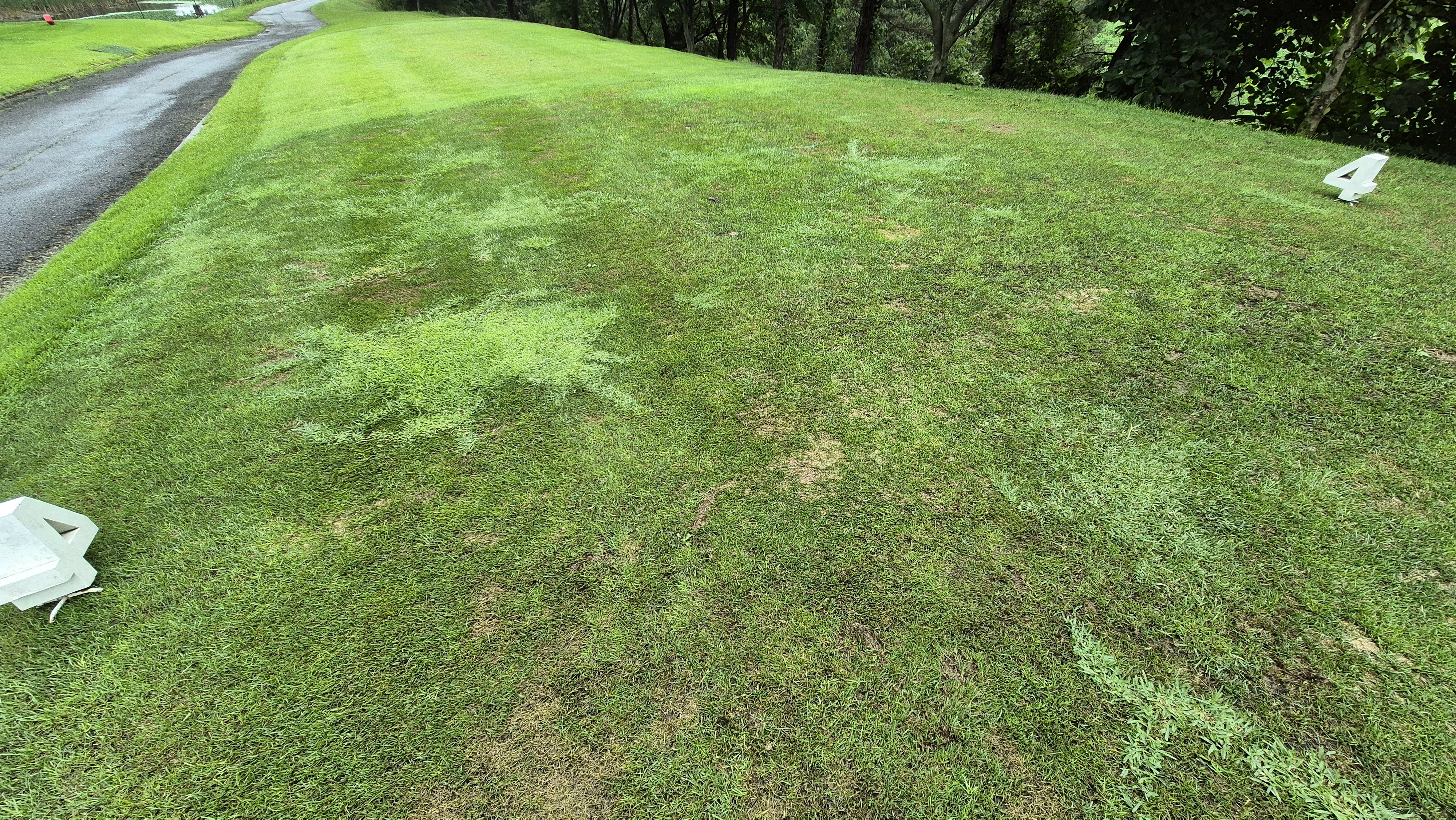 골프존카운티 진천