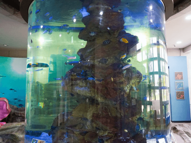 거제조선해양문화관_원형수족관