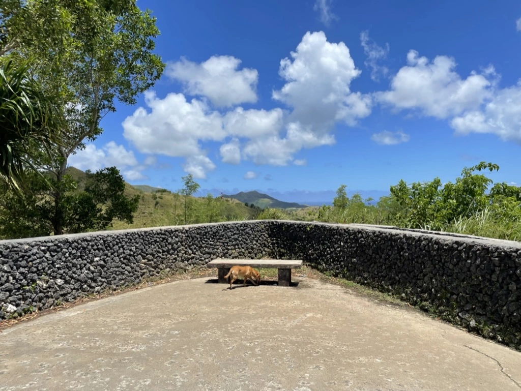 세티베이 전망대