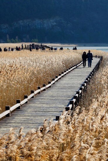 순천 가볼만한 곳 베스트10