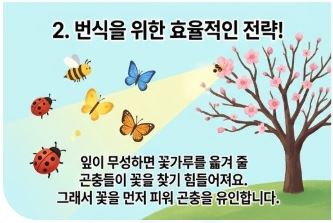구미 벚꽃