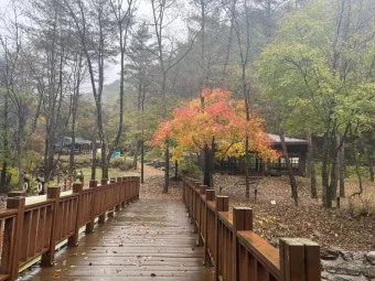 자연휴양림 예약정보시스템 바로가기 완벽 이용 가이드_21