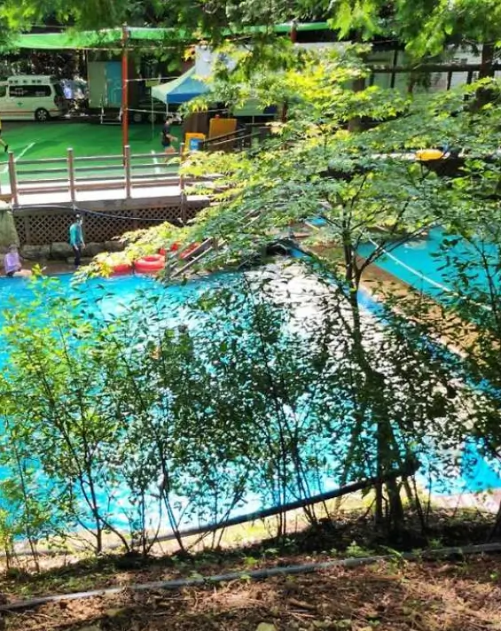 강진 초당림 물놀이장